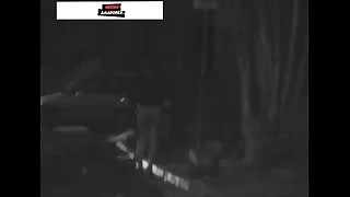 Homem grava v&iacute;deo de prostituta fazendo ponto em avenida de S&atilde;o Paulo - Brasil